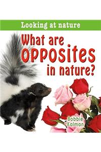 What Are Opposites in Nature?