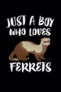 Just A Boy Who Loves Ferrets