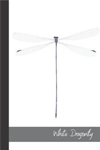 White Dragonfly