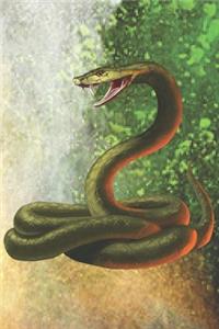 Draw and Write Journal for Young Boys