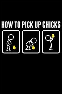 How to pick up Chicks