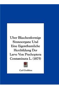Uber Blaschenformige Sinnesorgane Und Eine Eigenthumliche Herzbildung Der Larve Von Ptychoptera Contaminata L. (1875)