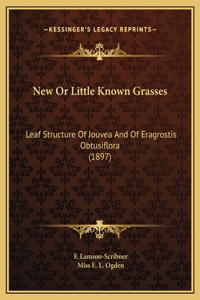 New Or Little Known Grasses