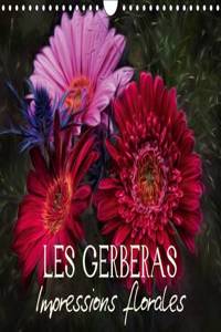Gerberas Impressions Florales 2017