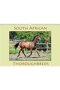 South African Thoroughbreds 2018