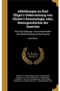 Abbildungen Zu Karl Illiger's Uebersetzung Von Olivier's Entomologie, Oder, Naturgeschichte Der Insecten