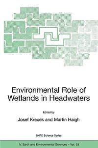 Environmental Role of Wetlands in Headwaters
