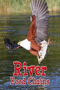 River Food Chains