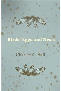 Birds' Eggs and Nests