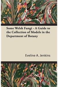 Some Welsh Fungi - A Guide to the Collection of Models in the Department of Botany