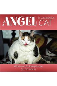 Angel, the Mischievous Cat