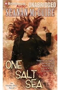 One Salt Sea