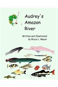 Audrey's Amazon River