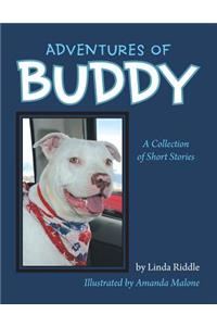 Adventures of Buddy