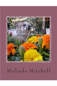 Seeing Through The Eyes of a Shelter Dog