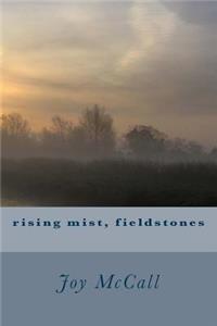 rising mist, fieldstones