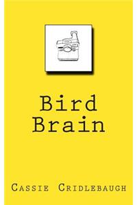 Bird Brain