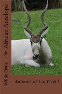 African Antelope