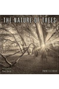 2020 the Nature of Trees Mini Calendar