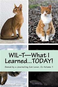 WIL-T-What I Learned...TODAY!