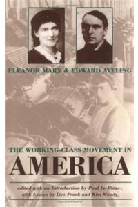 The Working Class Movement in America