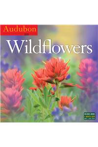Audubon Wildflowers Wall Calendar 2016