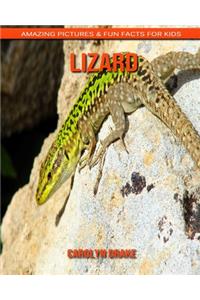 Lizard