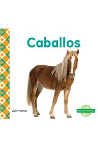 Caballos (Horses) (Spanish Version)