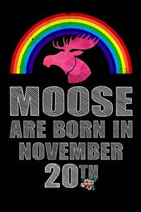 Moose Are Born In November 20th
