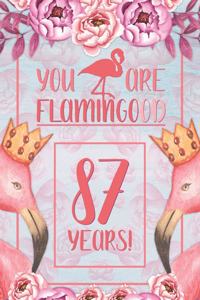87th Birthday Journal