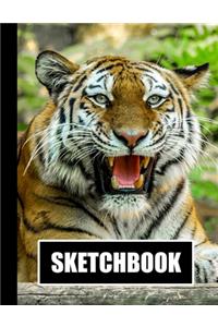 Sketchbook