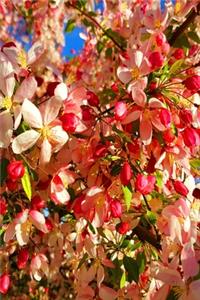 2020 Weekly Planner Spring Cherry Tree Blossoms 134 Pages
