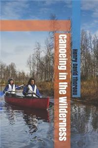 Canoeing in the Wilderness