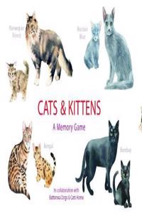 Cats & Kittens