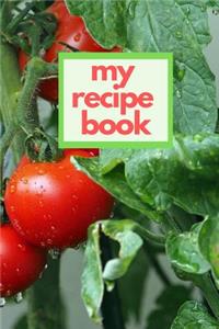 My Recipe Book