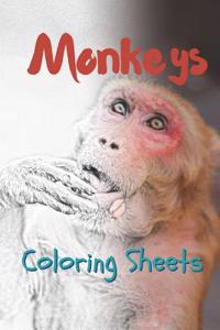 Monkey Coloring Sheets