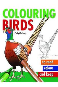 Colouring Birds