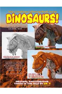 New Creations Coloring Book Series