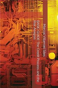 Basic Guide the Credit Process and the Risk Analysis