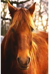 Journal Notebook For Horse Lovers - Chestnut Beauty