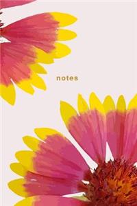 Notes