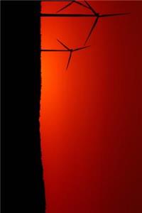 Three Windmills and A Brilliant Red Sky Journal