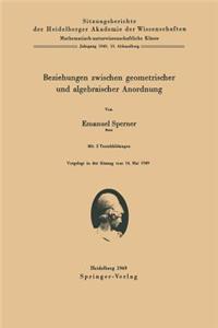 Beziehungen zwischen geometrischer und algebraischer Anordnung