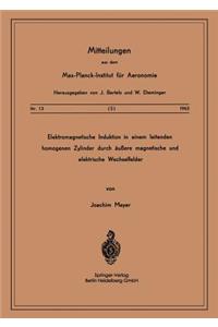 Elektromagnetische Induktion in einem Leitenden Homogenen Zylinder durch Äussere Magnetische und Elektrische Wechselfelder
