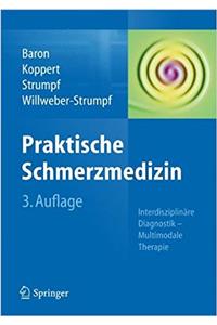 Praktische Schmerzmedizin