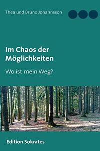 Im Chaos der Möglichkeiten