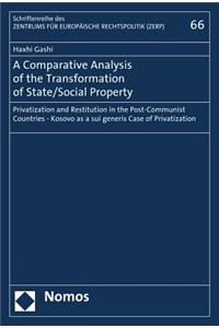 A Comparative Analysis of the Transformation of State/Social Property