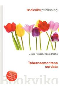 Tabernaemontana Cordata