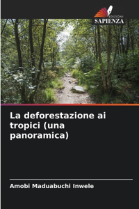 deforestazione ai tropici (una panoramica)