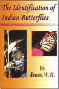 Identification of Indian Butterflies